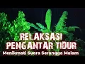 Download Lagu Relaksasi Pengantar Tidur | Menikmati Suara Serangga Malam | Nature Around