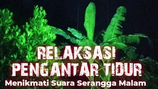 relaksasi pengantar tidur menikmati suara serangga malam nature around