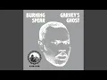 Download Lagu John Burns Skank (Live Good)