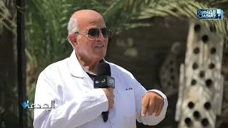 د احمد عطية 60 طن من سيلاج متوسط انتاجية هجين ذرة الريان في الفدان الواحد 