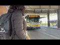 Popular Traveling Yoshi s Ride Series S21-E12 - Riding the 32