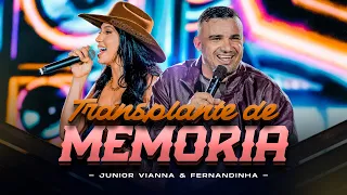 Junior Vianna e @fernandinha   - TRANSPLANTE DE MEMÓRIA (Forró Na Canela)