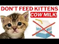 Don t Feed Kittens Cow Milk