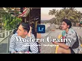 Modern Grainy Lightroom Preset -  Holiday Lightroom Mobile Free DNG - Grainy Filter