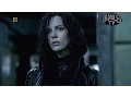 Download Lagu Nightwish - Wish I had an Angel
