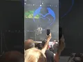 Le hace falta un beso - Agapornis