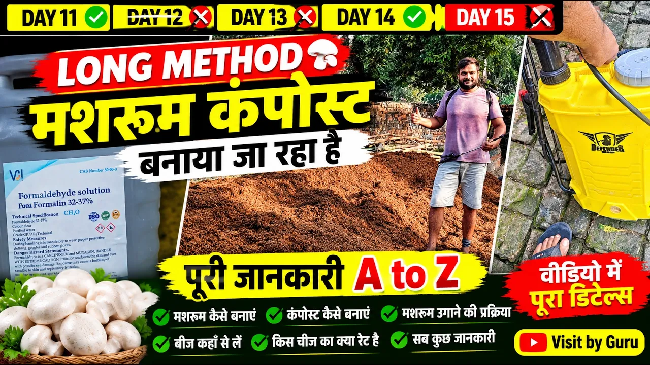 🍄 मशरूम फार्मिंग Day 16  Formoline  Spray | Mushroom Farming @VisitbyGuru