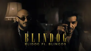 BLIDOG Ft BLINGOS Blindog Official Music Video 