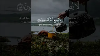 واصبر فإن الله لاي ضيع أجر المحسنين اسلام صبحي حالات واتس 