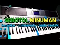 Download Lagu KARAOKE DANGDUT KOPLO //sebotol minuman// NADA cewek //mirnawati// by jampangpbg //psr670