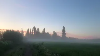 Foggy Morning in the Finnish Countryside