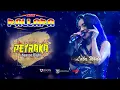 New pallapa duet romantis Sayang~Lala Widi Gary Mahesa Petraka season 8