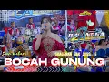 Download Lagu BOCAH GUNUNG  Cover Dian Mahara - JIWANGGA MUSIC - PUMA AUDIO  Live Turong