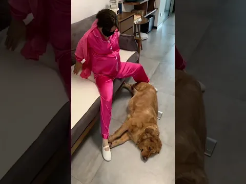 老公男人不靠谱，不如狗子让我快乐 #夫妻日常 #funny #美女搞笑  #goldenretriever 2