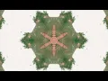 Ian Janco - Rapture | A Short Film