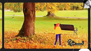 النور الجيلاني سواح حالات واتساب سودانية 