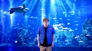 急遽 水族館でバイトすることになりました