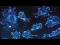 Download Lagu Dit geluid kan kankercellen doden (440 Hz) - 15 minuten behandeling