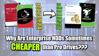 Why Are Enterprise Ds Sometimes Cheaper than Pro Drives Red Pro Ultrastar Irownolf and EXOS