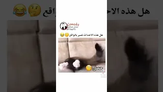 انا بدأت اصدق     دندنها
