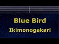Lagu Karaoke♬ Blue Bird - Ikimonogakari 【No Guide Melody】 Instrumental, Lyric ( Romanized ) Naruto