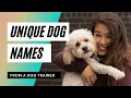 Unique Dog Names I ve Come Across