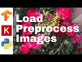 27 Load and preprocess images TensorFlow Tutorial