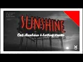 Sunshine - Cat Dealers, Lothief, Santti [ LETRA KARAOKÊ ]