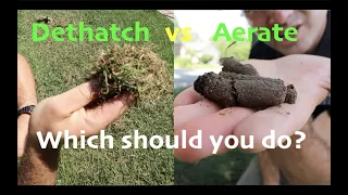 Aeration vs Dethatching Which should YOU do