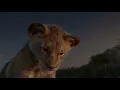 The Lion King (2019): The great kings of the past. Mufasa and Simba under the stars