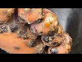 Free jigger with a deep monologue - watch such riseupsociety net ruskenya org