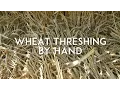 Wheat Threshing and Winnowing by Hand