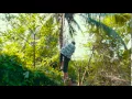 Mature Asian woman climbs on a palm tree