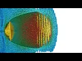 LWFA In-Situ Visualization with ISAAC 30fps
