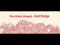 The Black Angels - Evil Things (With Lyrics)