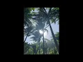 Views in the mauntain #2