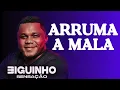 ARRUMA A MALA E VEM MORAR MAIS EU - BIGUINHO SENSAÇÃO 2024