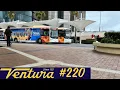 Ventura Dandenong on Route 800