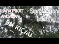 Suara pikat andalan om kicau/ 2020