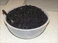 How to Make Elderberry Wine