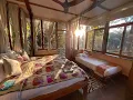 Download Lagu Daldali - Rukhad Jungle Camp , Pench National Park