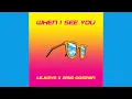 LEJKEYS & Amir Oosman feat. Amber Navran - When I See You