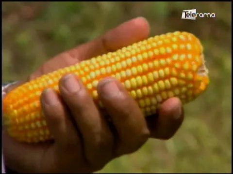 Ecuador Agropecuario 27-07-2018