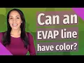 Can an EVAP line have color