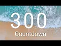 300 Seconds Timer with Alarm