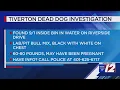 Police Dog found dead inside storage bin in Tiverton