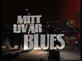 Albert King Live in Sweden 1980