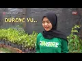 Download Lagu MENDEM DUREN || FILM PENDEK #CINGIRE