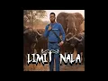  Amabhafalo nezindlovu 
