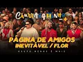 Download Lagu Grupo Menos é Mais - Página de Amigos / Inevitável / Flor (Ao Vivo)